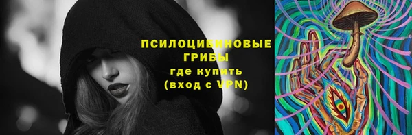 скорость Алзамай
