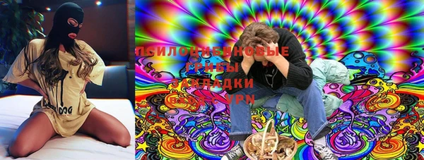 PSILOCYBIN Алексин