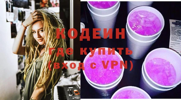 индика Абаза