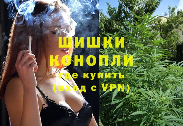 индика Абаза