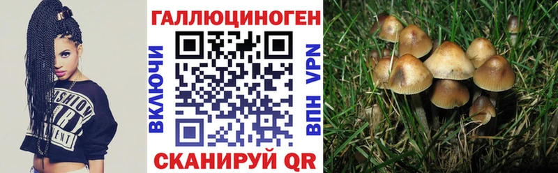 дарнет шоп  Сорочинск  Галлюциногенные грибы MAGIC MUSHROOMS 