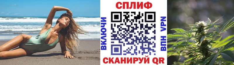 Бошки Шишки White Widow даркнет сайт Сорочинск